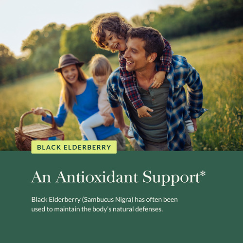Suplemento Gaia Herbs Black Elderberry Gummies 40 Unidades - Imagem 5