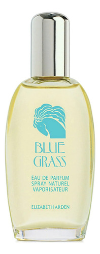 Perfume Elizabeth Arden Blue Grass Eau De Parfum 100ml