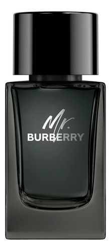 Perfume Burberry Mr. Burberry Eau De Parfum 100ml Para Homen