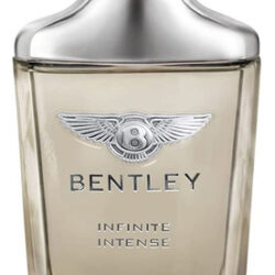 Perfume Bentley Infinite Intense Eau De Parfum 100ml Para Ho