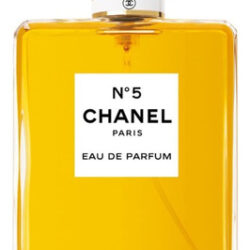 Perfume Chanel No. 5 Eau De Parfum 100ml For Women