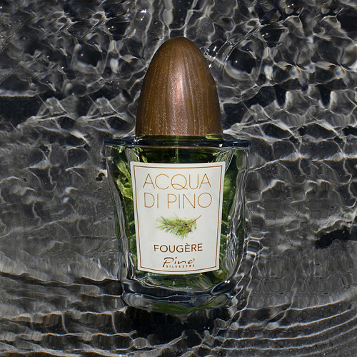 Perfume Pino Silvestre Acqua Di Pino Fougere Eau De Toilette - Imagem 5