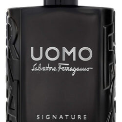 Perfume Salvatore Ferragamo Uomo Signature Edp 100ml Para Ho