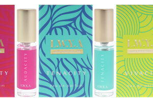 Mini Conjunto De Presentes Perfume Laya Audacity Edo 3x3ml P