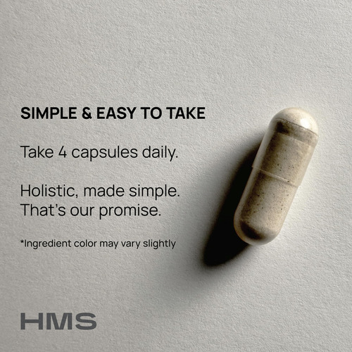 Suplemento De Pólen De Abelha Hms Nutrition Com Própolis E G - Imagem 4