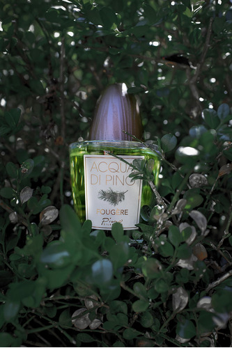 Perfume Pino Silvestre Acqua Di Pino Fougere Eau De Toilette - Imagem 6
