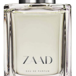 Perfume O Boticario Zaad Eau De Parfum 100ml For Men