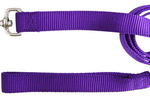 Dog Lead Hamilton, Nylon De Espessura Única, 2,54 Cm X 1,83