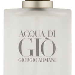 Perfume Giorgio Armani Acqua Di Gio Pour Homme Edt 30ml