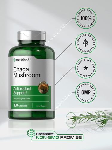 Suplemento Em Cápsulas De Cogumelos Horbaach Chaga 180 Unida - Imagem 5