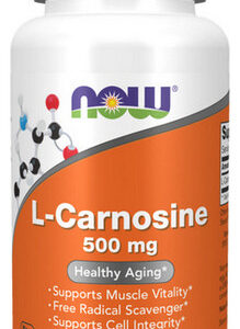 L-carnosina 500 Mg E 50 Cápsulas Vegetais Da Now Foods