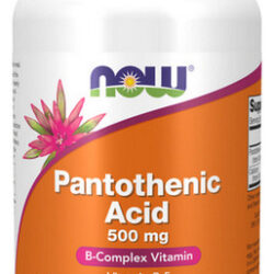 Ácido Pantotênico 500 Mg 250 Cápsulas Da Now Foods