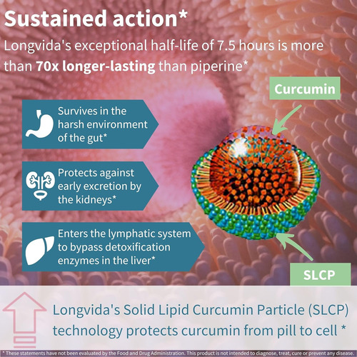Longvida Lipidated Curcumin 500mg, Ultra Biodisponível - Imagem 5