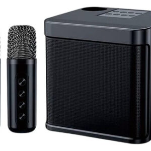 Karaokê Com 2 Microfones Sem Fio E Caixa De Som Portátil