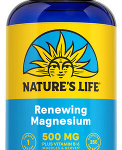 Magnesium 500 Mg 250 Caps By Nature's Life