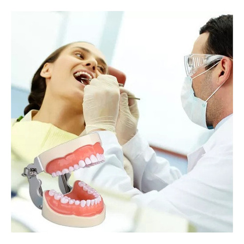 O Modelo De Dente Com 32 Dentes Destacáveis - Imagem 6