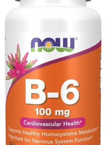 B-6 100 Mg 100 Caps By Now Foods