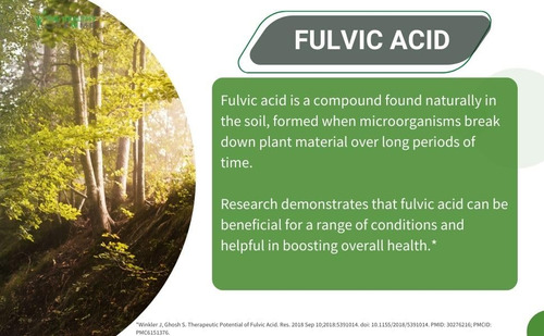 Suplemento De Ácido Fúlvico Líquido Healthy Life 4 Me De 2 M - Imagem 2