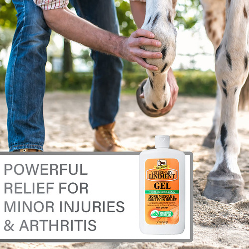 Gel Para Alívio Da Dor Absorbine Veterinary Liniment 350ml - Imagem 5