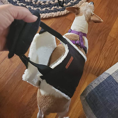 Cadeia De Levantamento De Cães Sling Pernas Traseiras - Imagem 5