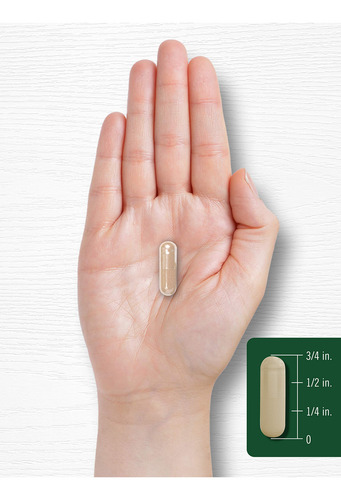 Suplemento: Cápsulas De Extrato De Raiz De Carlyl De 1600 Mg - Imagem 7