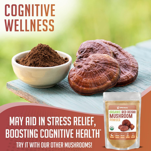 Pó De Cogumelo Reishi Vermelho Orgânico Xprs Nutra - Pó Reis - Imagem 3