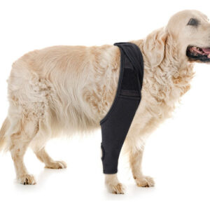 Suporte Extra Ajustável, Protetor De Coxa De Cachorro, Joelh