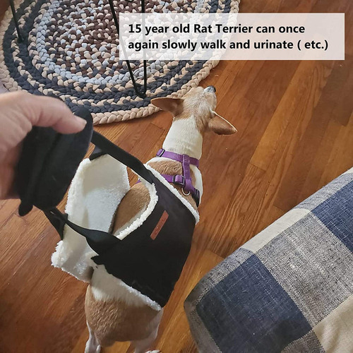 Cadeia De Levantamento De Cães Sling Pernas Traseiras - Imagem 3