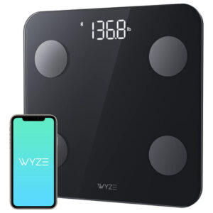 Análise Da Composição Corporal Do Banheiro Digital Scale Wyz