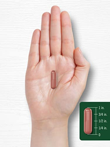 Suplemento Carlyle Red Yeast Rice 1200 Mg 250 Cápsulas - Imagem 7