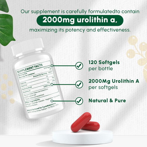 Suplemento Cystorebalance Urolitina A 2000 Mg 120 Cápsulas G - Imagem 4
