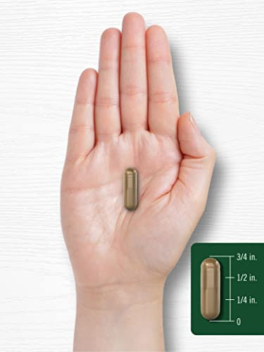 Suplemento Carlyle Astragalus Root Capsules 4500 Mg 200 Unid - Imagem 7
