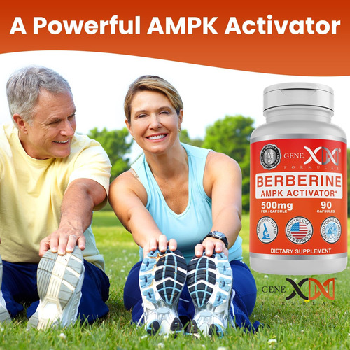 Genex Formulas Berberina Hcl 500mg (90 Cápsulas) | Poderoso - Imagem 7