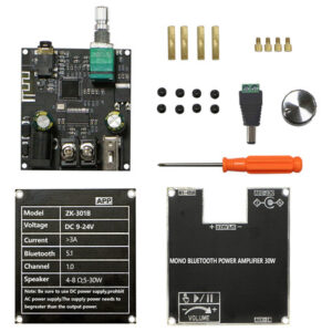 Placa De Amplificador Monocanal Zk-301b Portátil Singletrack