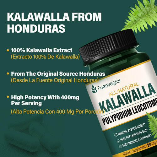 Cápsulas De Raiz Fuenvegtal Kalawalla, Suplementos De Extrat - Imagem 3