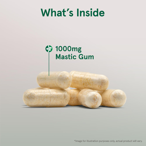 Suplemento Jarrow Formulas Mastic Gum 1000 Mg 60 Cápsulas Ve - Imagem 3