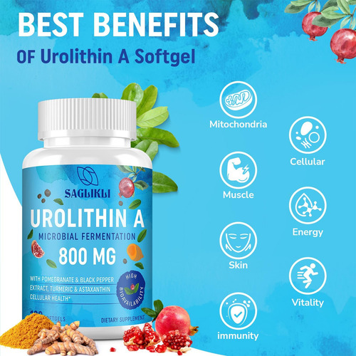 Saglikli Suplemento De Urolitina A De Alta Potência 800mg - - Imagem 3