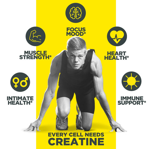 Suplemento De Treino Promera Sports Con-cret Creatine Hcl - Imagem 5