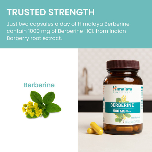 Suplemento Himalaya Berberine 1000mg 60 Cápsulas Veganas - Imagem 6