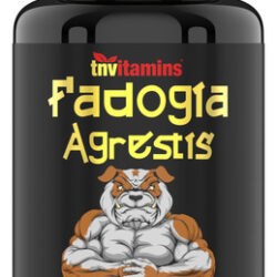 Suplemento De Vitaminas Tn Extrato De Fadogia Agrestis 1200