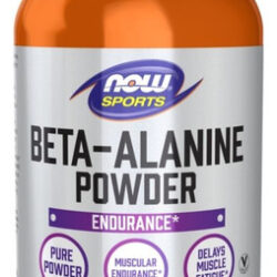 Beta Alanina Em Pó 500 G Da Now Foods