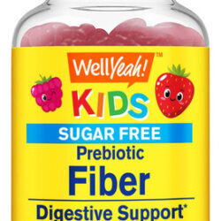 Gomas De Fibra Prebiótica Wellyeah Kids Digestive Support 60