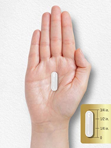Cápsulas De Glutamina Carlyle L | 1500mg | Contagem 240 | S - Imagem 7