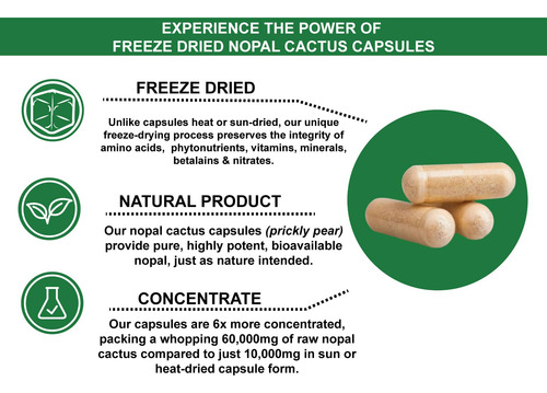 Suplemento Natural Home Cures Nopal Cactus Capsules 120 Cáps - Imagem 3
