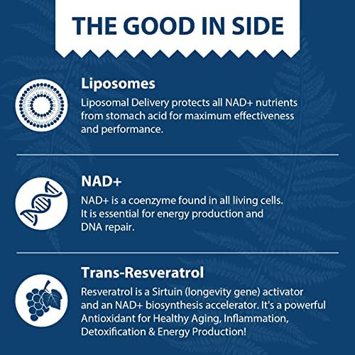 Nad + Lipossomal 500 Mg + Trans-resveratrol 300 Mg, Supleme - Imagem 4