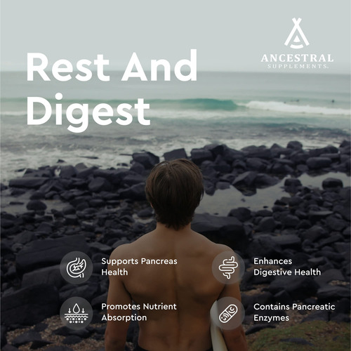 Suplemento Ancestral Supplements Pâncreas Alimentado Com Cap - Imagem 3