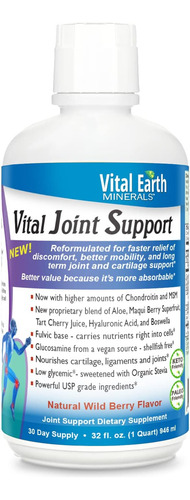 Suplemento De Suporte Para Articulações Vitais Da Terra Com