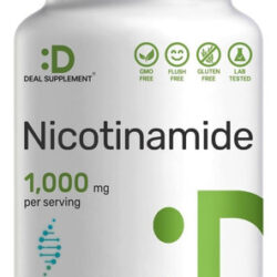 Vitamina B3 Nicotinamida 1.000 Mg Por Porção &quot 500 Cápsulas,