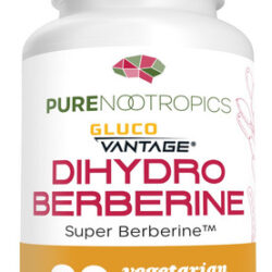 Suplemento Nootrópicos Puros Dihidroberina 100mg 90 Cápsulas