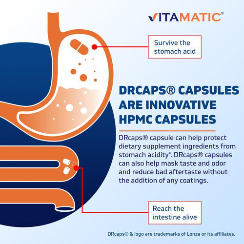 Vitamatic Akkermansia Muciniphila Gut Health - 60 Cápsulas D - Imagem 3